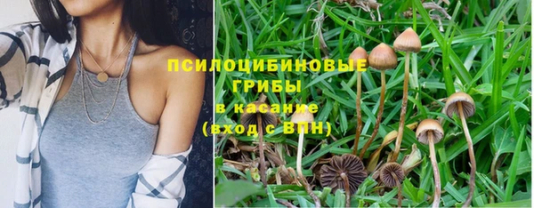 крисы Михайлов