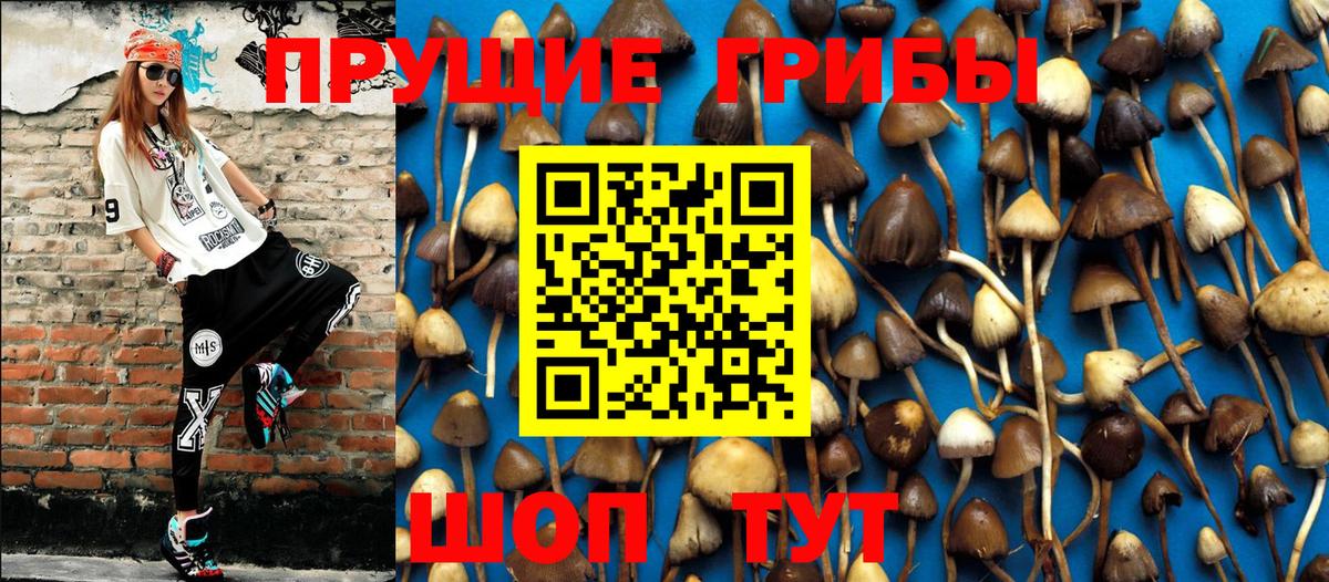 Псилоцибиновые грибы MAGIC MUSHROOMS Лабытнанги