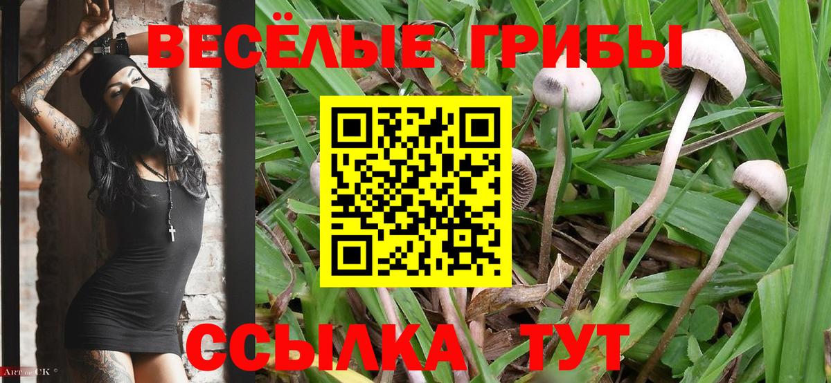 Псилоцибиновые грибы мицелий Лабытнанги