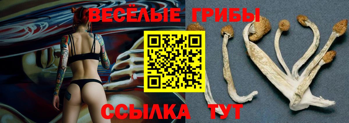 Галлюциногенные грибы Cubensis  Галлюциногенные грибы MAGIC MUSHROOMS  Лабытнанги  Вход с VPN 