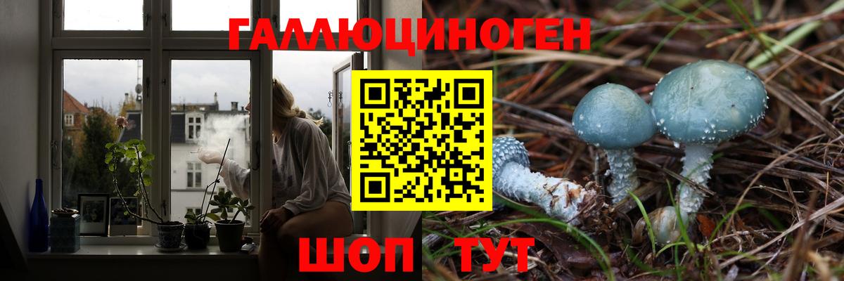 ГАШ Лабытнанги