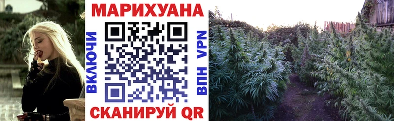 Бошки марихуана марихуана  наркотики  Лабытнанги 